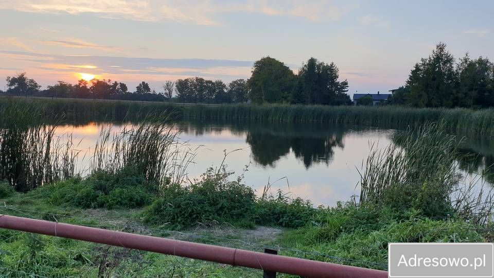 Działka rolna Wola Trębska. Zdjęcie 8