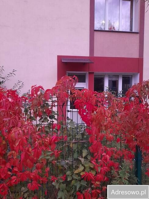 Lokal Białystok Centrum, al. Józefa Piłsudskiego. Zdjęcie 2