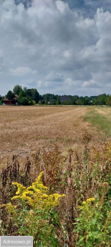 Działka budowlana Turawa Marszałki, ul. Sosnowa. Zdjęcie 3