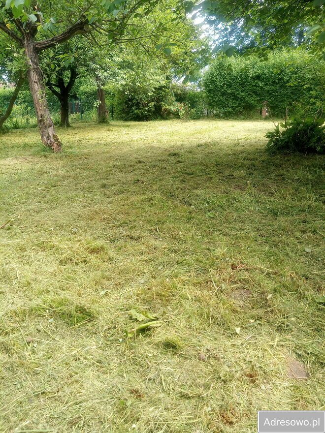 Działka rod Prudnik. Zdjęcie 5