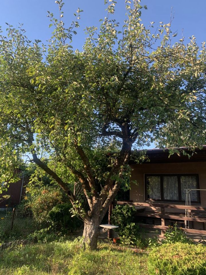 Działka rod Komorów, ul. Turystyczna. Zdjęcie 7