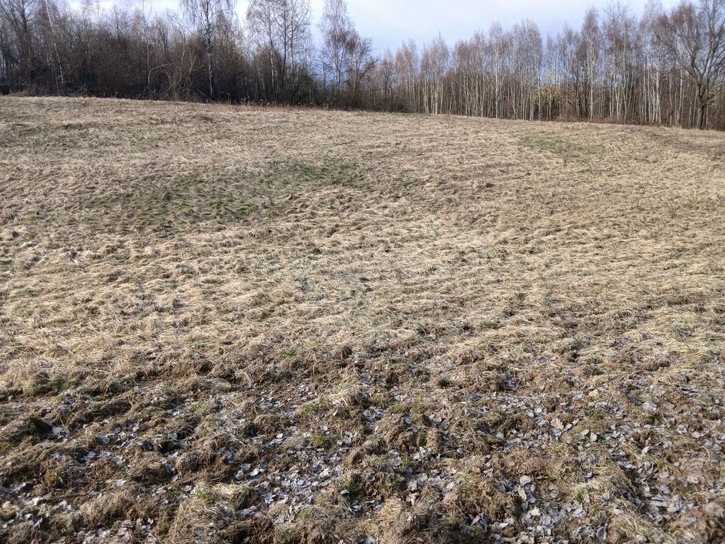 Działka rolna Czułów. Zdjęcie 3