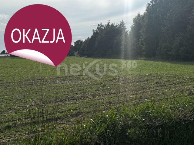Działka budowlana Sądrożyce. Zdjęcie 11