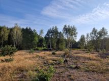 Działka budowlana Juliopol. Zdjęcie 3