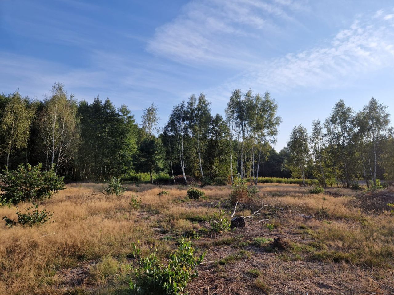 Działka budowlana Juliopol. Zdjęcie 4