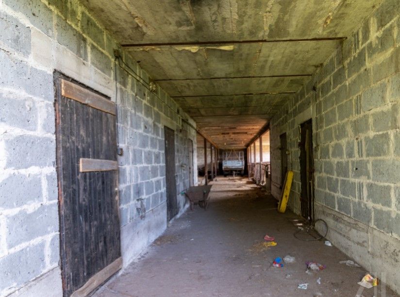 Działka siedliskowa Nowa Pecyna. Zdjęcie 3