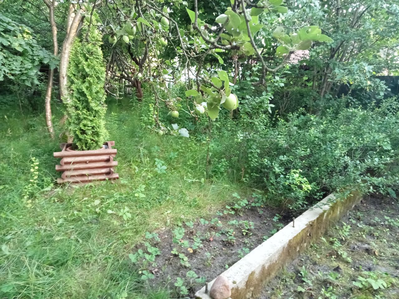 Działka rod Białostoczek. Zdjęcie 6