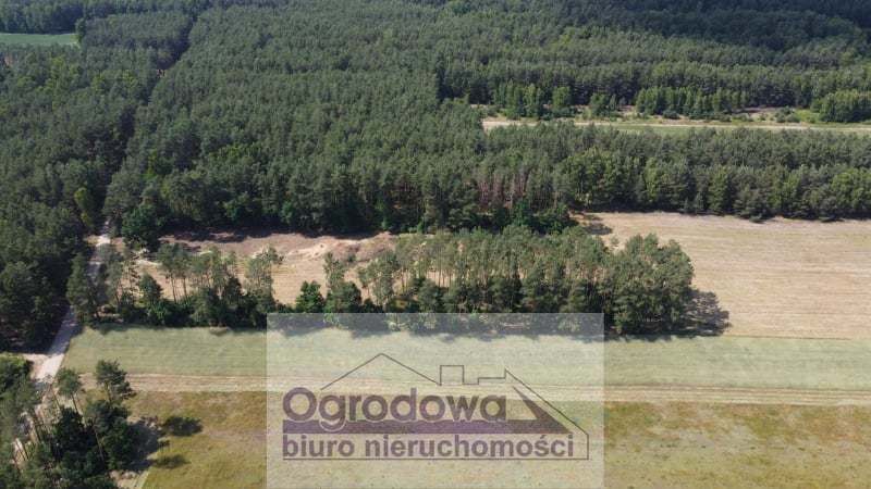 Działka rolno-budowlana Kupce. Zdjęcie 5