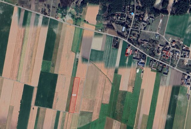 Działka rolna Gostkowo. Zdjęcie 1