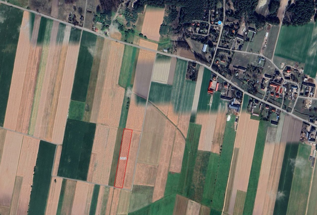 Działka rolna Gostkowo. Zdjęcie 1