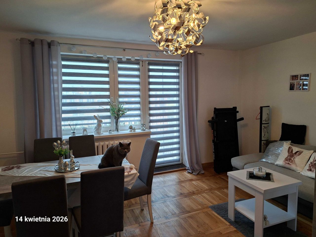 Mieszkanie 2-pokojowe Mogilno. Zdjęcie 5