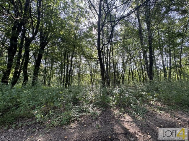 Działka budowlana Radlna. Zdjęcie 11