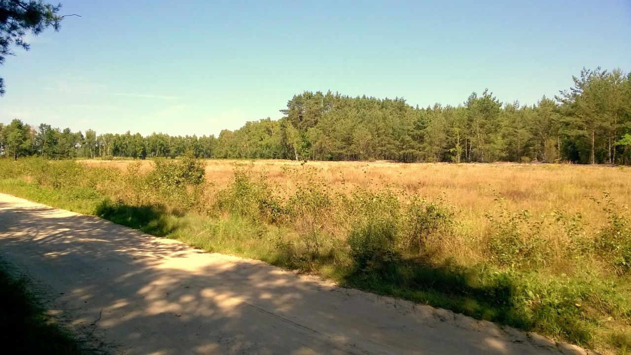 Działka budowlana Kwilno. Zdjęcie 3