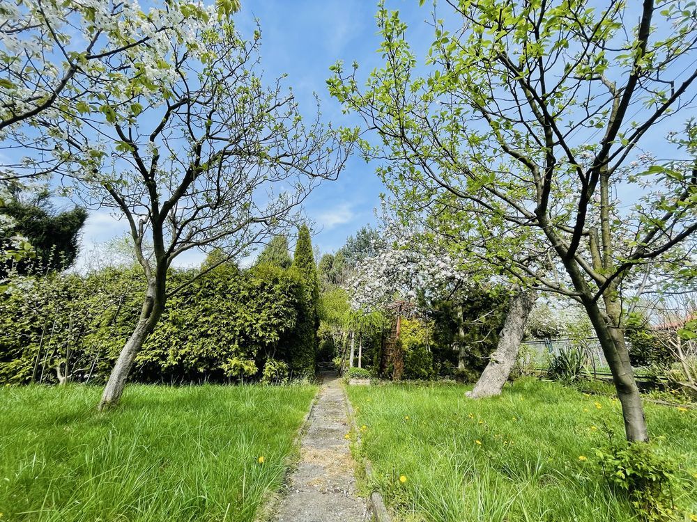Działka rod Opole Zaodrze, ul. Niemodlińska