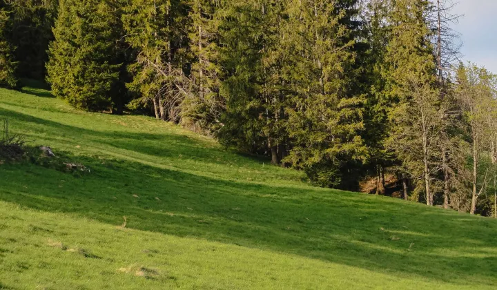 Działka inwestycyjna Zakopane Gubałówka, ul. Generała Kazimierza Sosnkowskiego