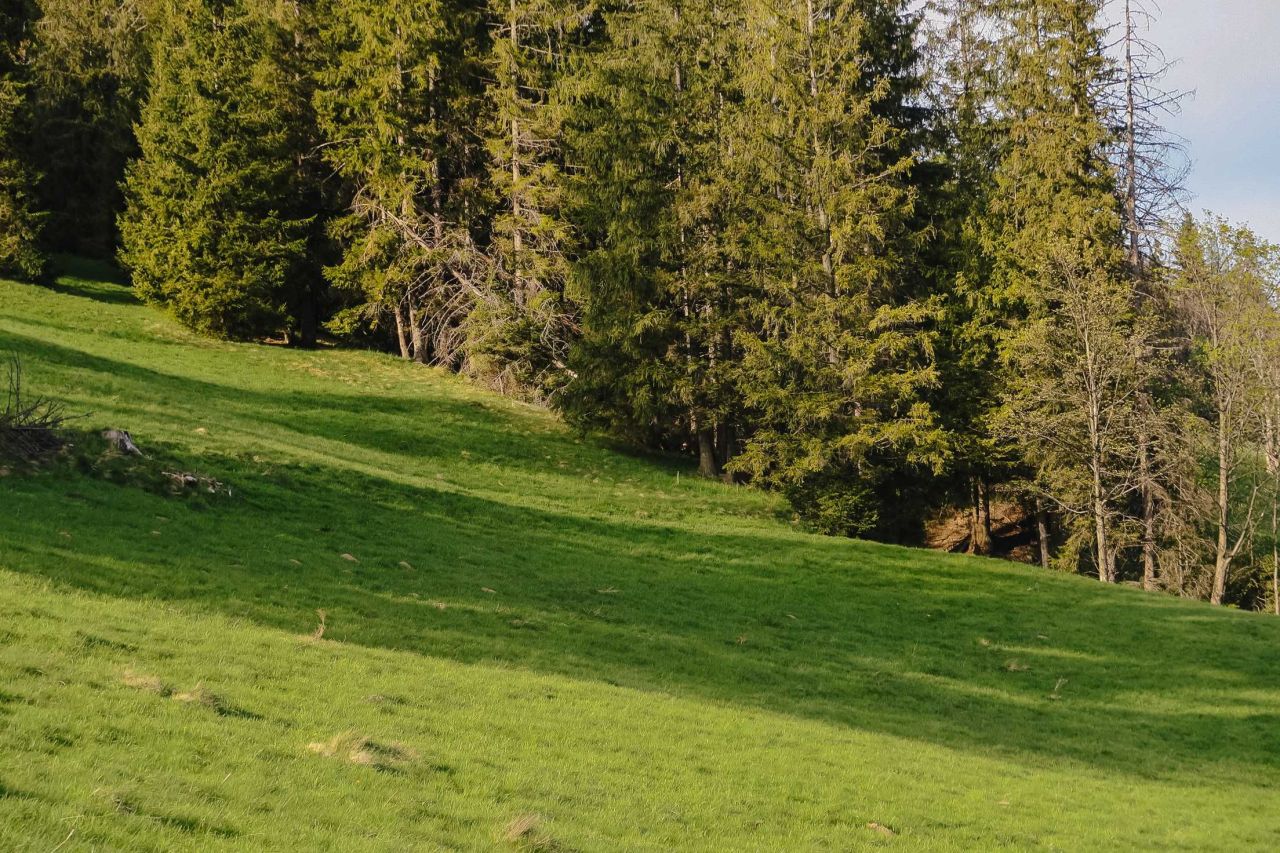 Działka inwestycyjna Zakopane Gubałówka, ul. Generała Kazimierza Sosnkowskiego. Zdjęcie 1