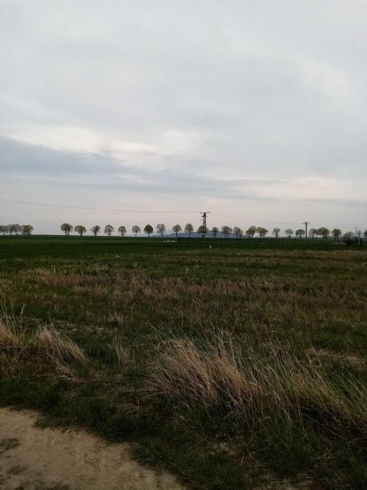 Działka budowlana Gościsław. Zdjęcie 3