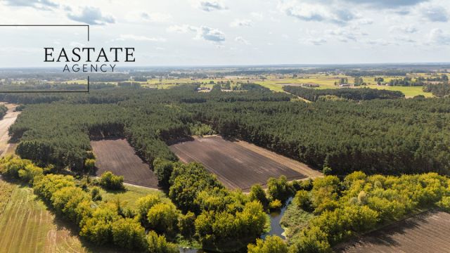 Działka leśna Maurzyce. Zdjęcie 2