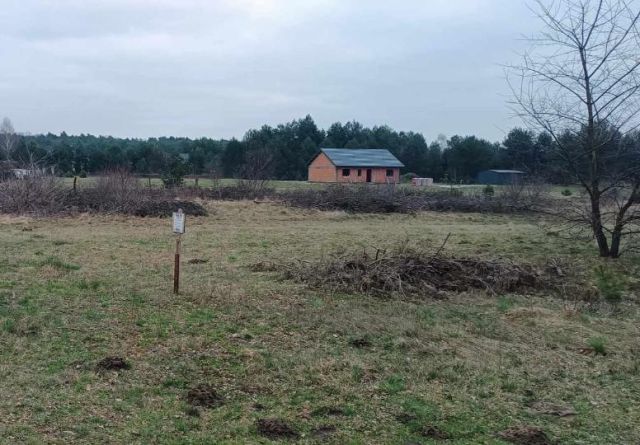 Działka rolna Dobrynin. Zdjęcie 1