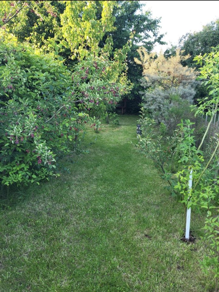 Działka rod Oława, ul. Oleśnicka. Zdjęcie 5