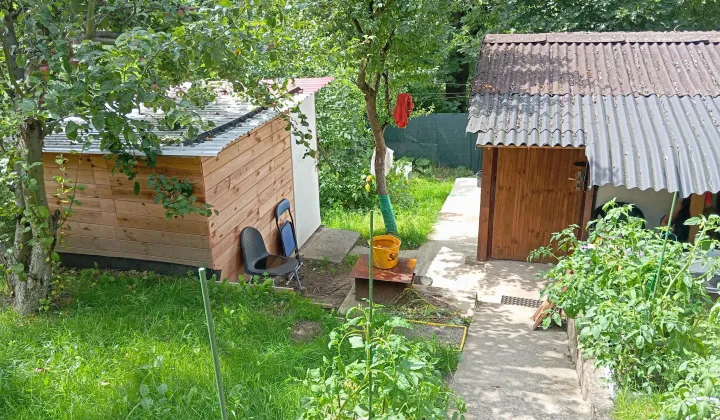 Działka rod Szczecin Golęcino, ul. Pokoju