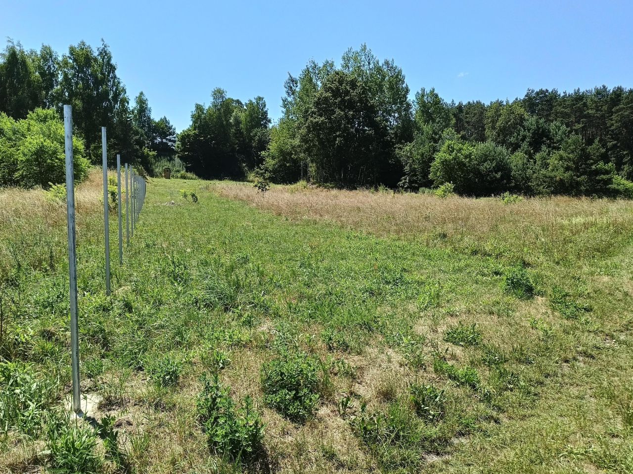 Działka budowlana Wola Kazubowa, ul. Graniczna