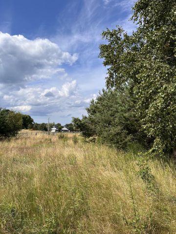 Działka rekreacyjna Sasino, ul. Zacisze. Zdjęcie 2