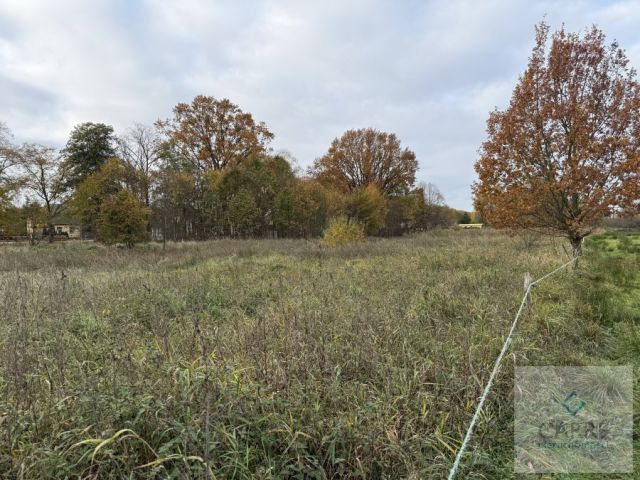 Działka budowlana Nowe Warpno, ul. Wojska Polskiego. Zdjęcie 3