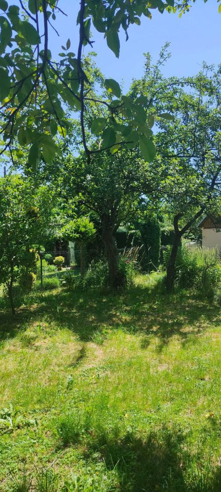 Działka rod Andrychów. Zdjęcie 3