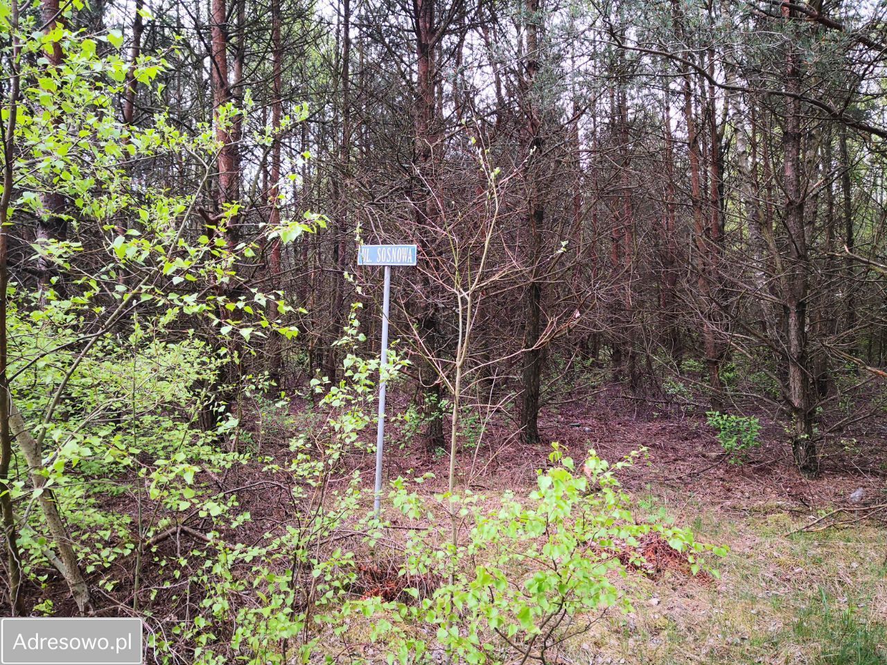 Działka budowlana Władysławów, ul. Dębowa