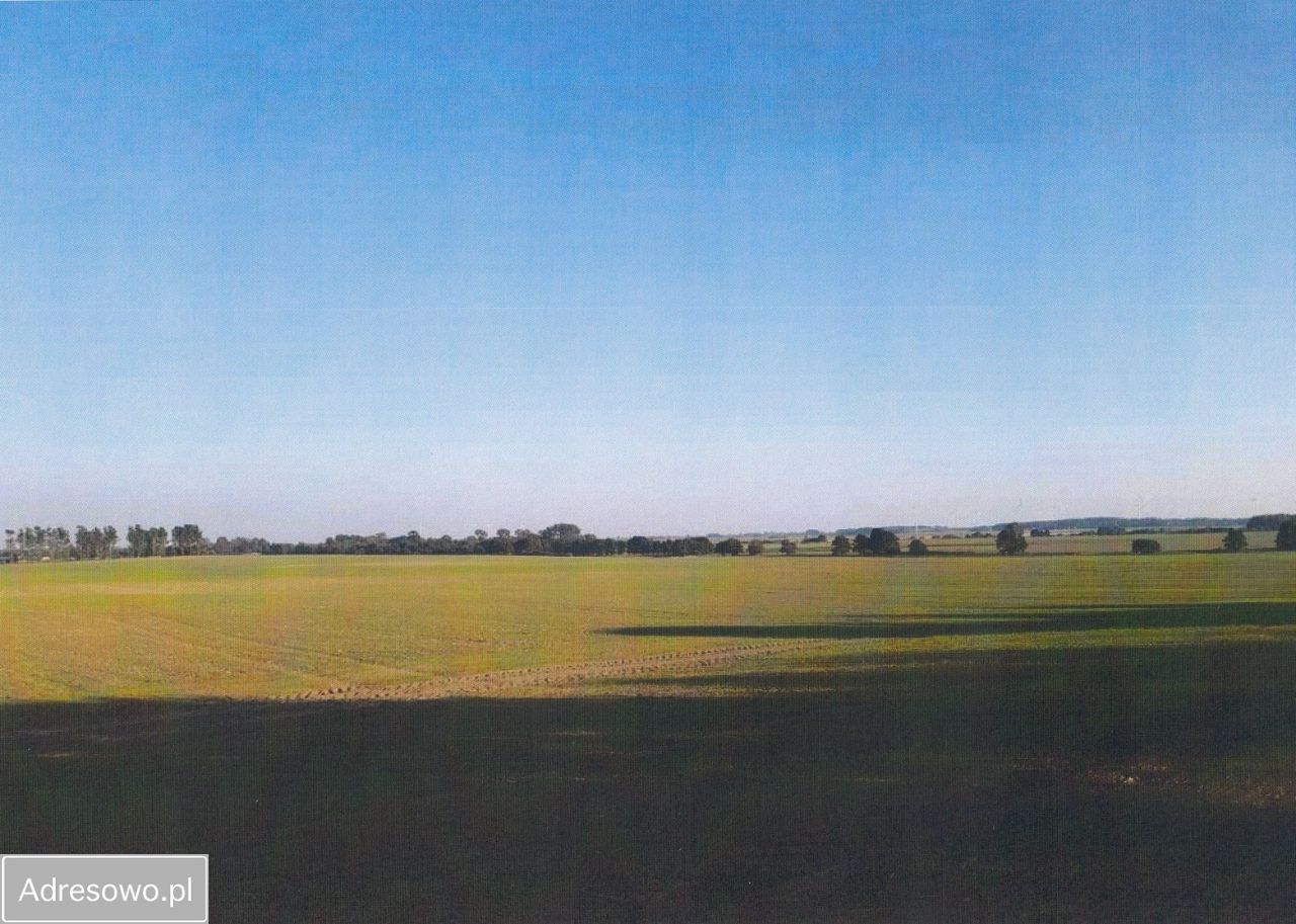 Działka siedliskowa Czernin. Zdjęcie 10