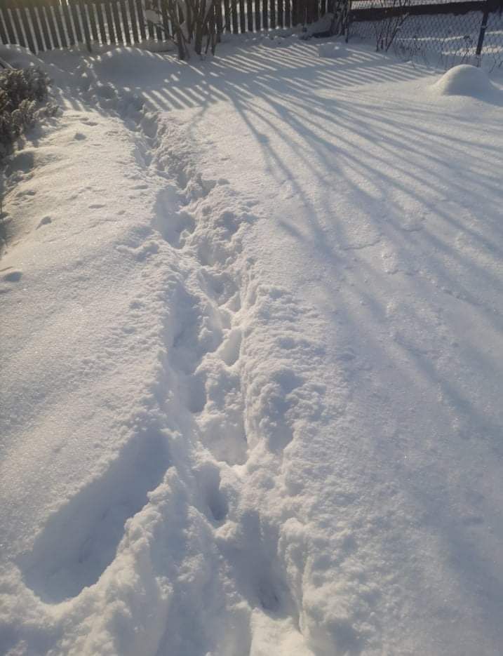 siedlisko, 2 pokoje Trześcianka. Zdjęcie 10