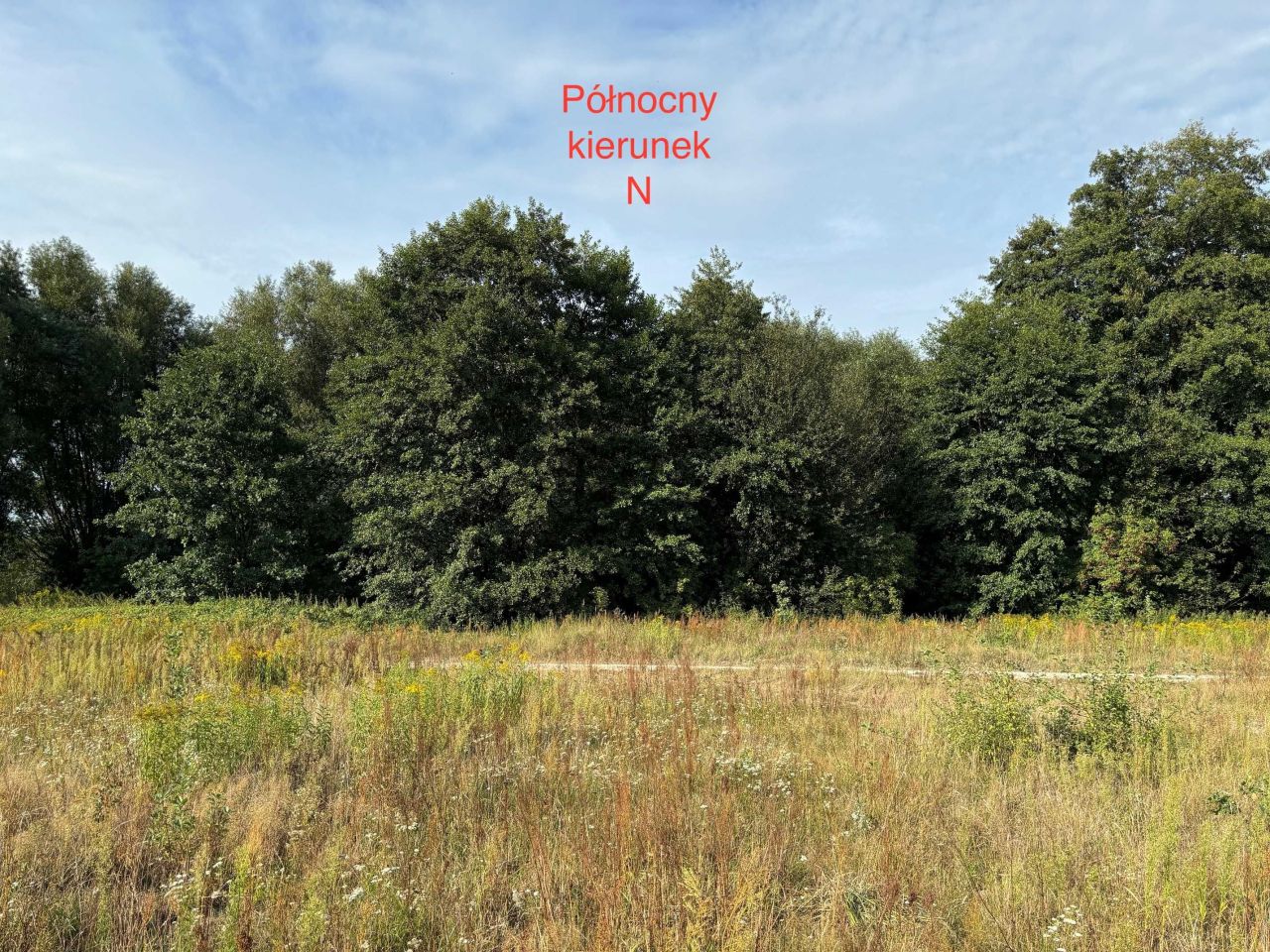 Działka rolno-budowlana Żelazna. Zdjęcie 2