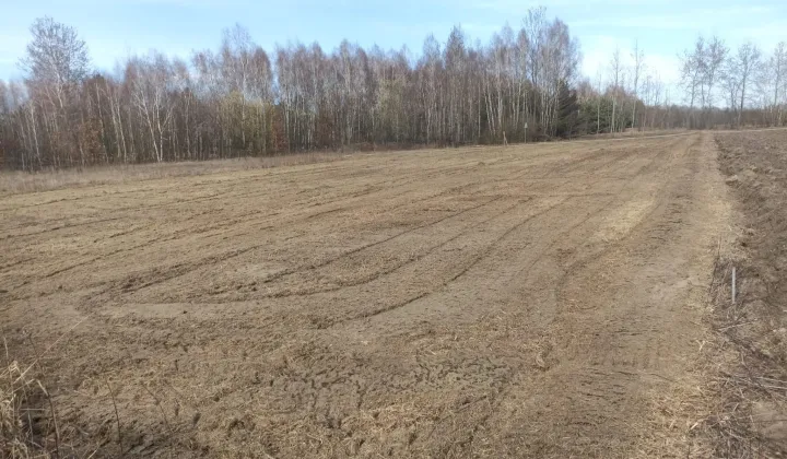 Działka budowlana Jędrzejnik