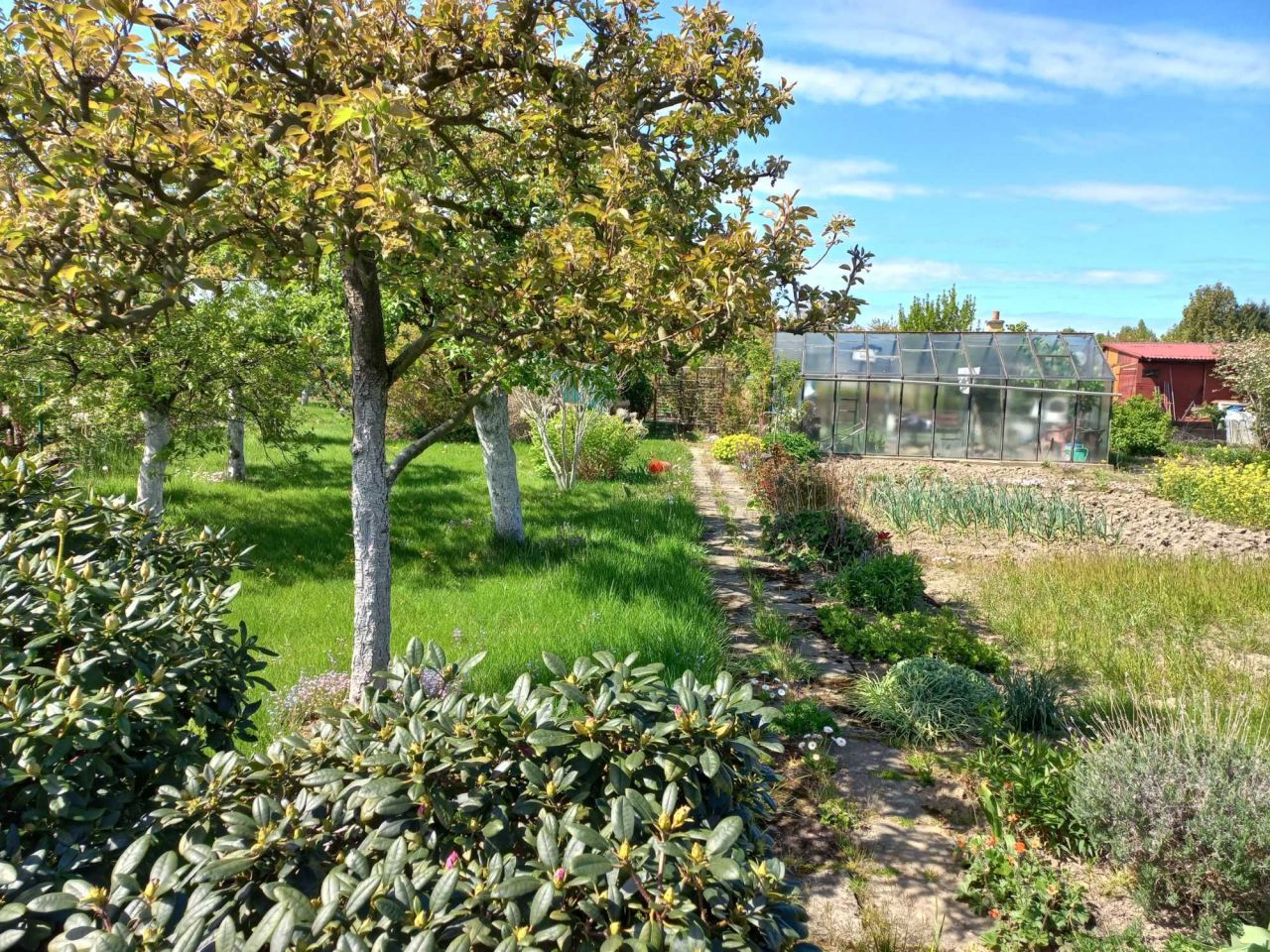 Działka rod Koszalin. Zdjęcie 3