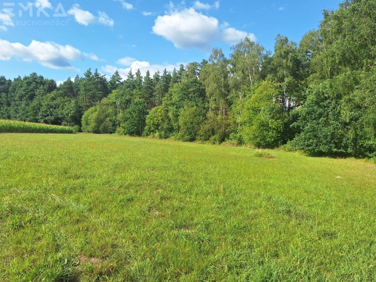 Działka budowlana Branica. Zdjęcie 2