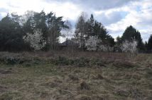 Działka budowlana Tymianka. Zdjęcie 1