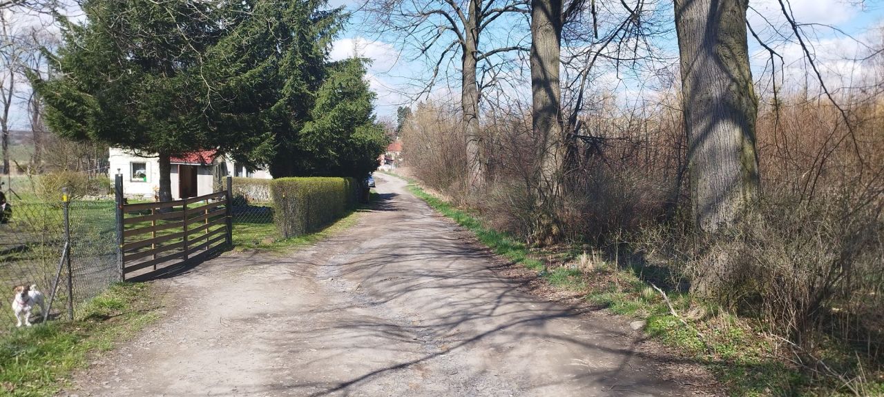 Działka budowlana Skrzydlice. Zdjęcie 5