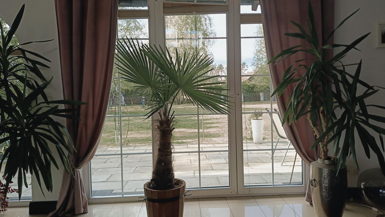 dom wolnostojący, 5 pokoi Będów. Zdjęcie 29