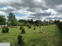 Działka budowlana Dębówka