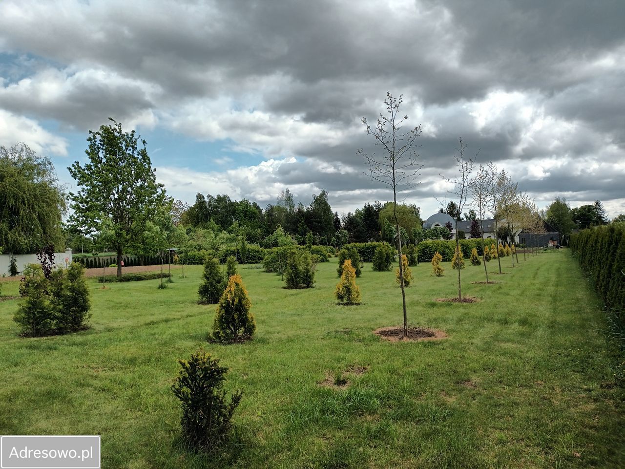 Działka budowlana Dębówka
