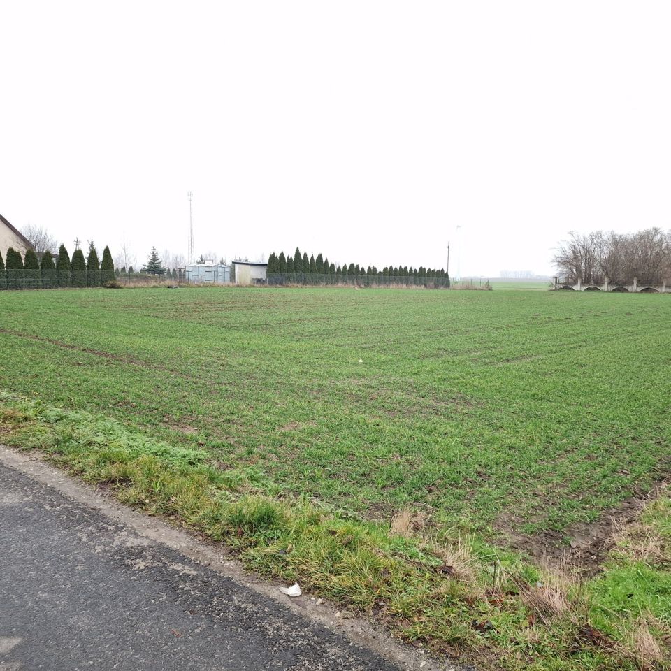 Działka budowlana Borówno. Zdjęcie 3