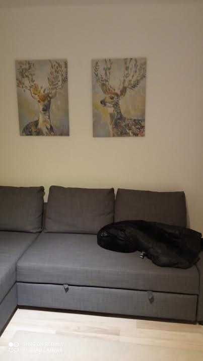 Mieszkanie 1-pokojowe Górowo Iławeckie, ul. Tadeusza Kościuszki. Zdjęcie 7