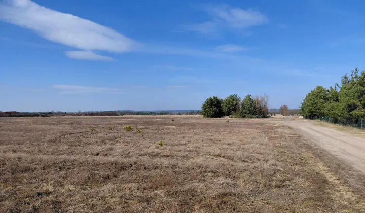 Działka budowlana Trzebicz, Brak