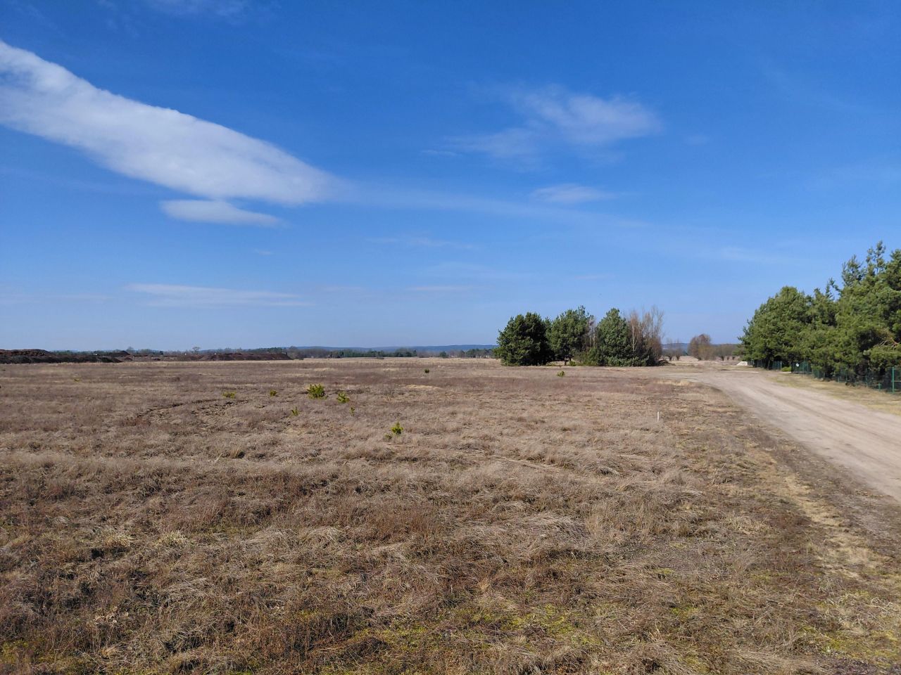 Działka budowlana Trzebicz, Brak. Zdjęcie 1