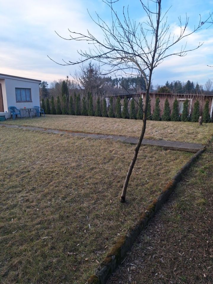 Działka rod Konin. Zdjęcie 3