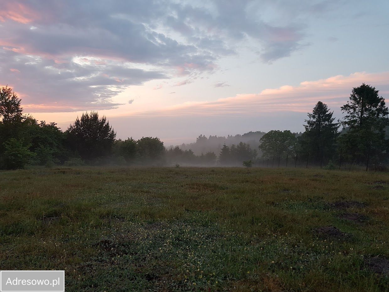Działka inwestycyjna Ulinia Dymnica. Zdjęcie 3