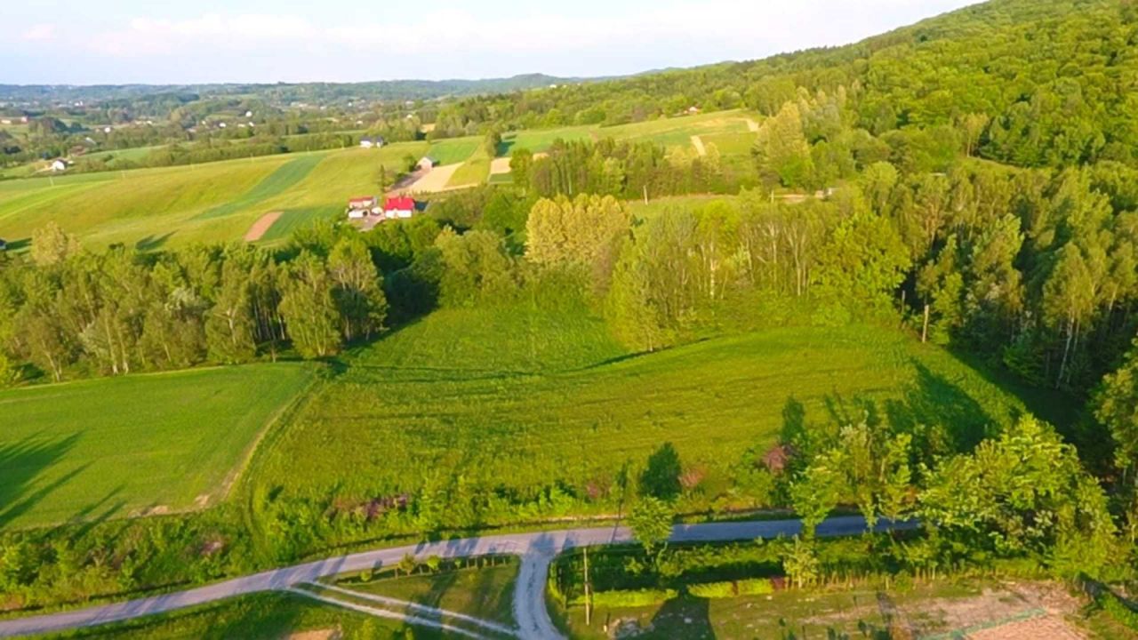 Działka rolno-budowlana Smarżowa. Zdjęcie 4