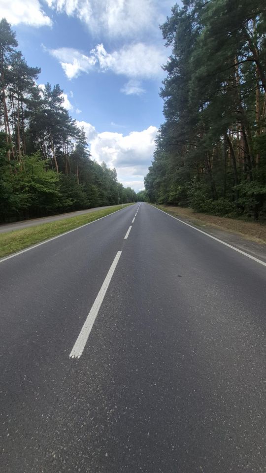 Działka leśna Jamborek, Dębowa. Zdjęcie 8