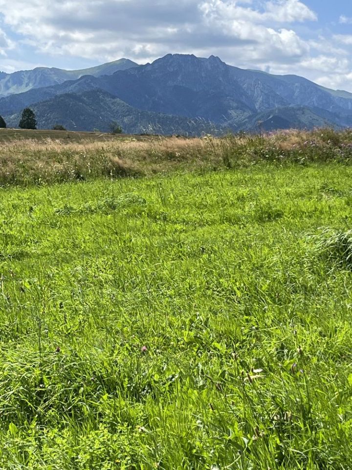 Działka rekreacyjna Zakopane Olcza. Zdjęcie 4